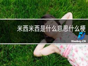 米西米西是什么意思什么梗