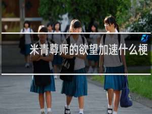 米青尊师的欲望加速什么梗