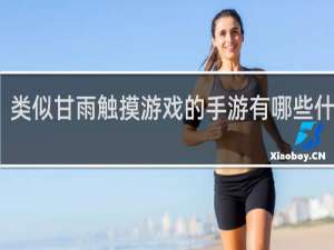类似甘雨触摸游戏的手游有哪些什么梗