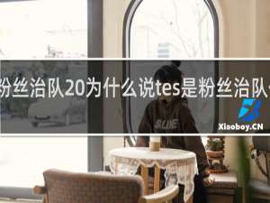 粉丝治队 为什么说tes是粉丝治队什么梗