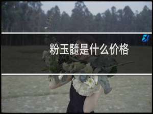 粉玉髓是什么价格