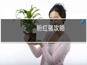 粉红猪攻略