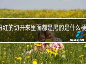 粉红的切开来里面都是黑的是什么梗什么梗