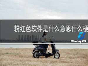 粉红色软件是什么意思什么梗