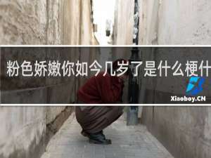 粉色娇嫩你如今几岁了是什么梗什么梗