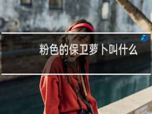 粉色的保卫萝卜叫什么