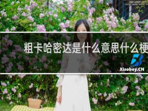 粗卡哈密达是什么意思什么梗