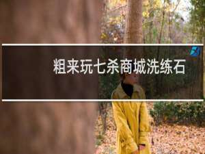 粗来玩七杀商城洗练石 洗练石洗练加多少攻击