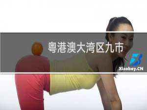 粤港澳大湾区九市