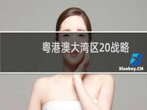 粤港澳大湾区 战略