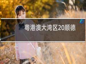 粤港澳大湾区 顺德