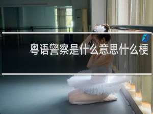 粤语警察是什么意思什么梗