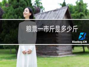 粮票一市斤是多少斤