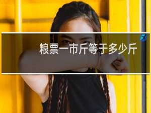 粮票一市斤等于多少斤
