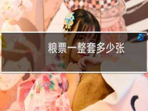 粮票一整套多少张