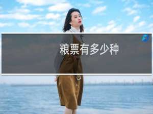 粮票有多少种