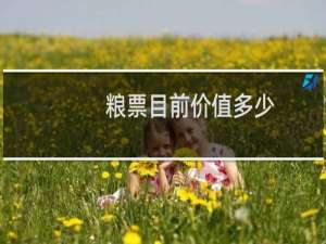 粮票目前价值多少