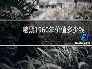 粮票1960年价值多少钱
