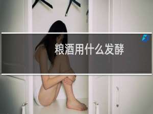 粮酒用什么发酵