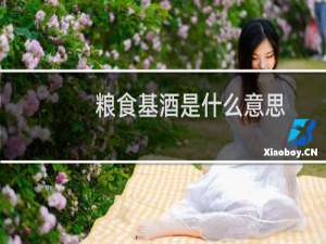 粮食基酒是什么意思