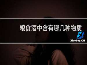 粮食酒中含有哪几种物质