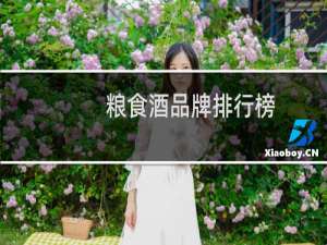 粮食酒品牌排行榜
