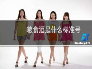 粮食酒是什么标准号