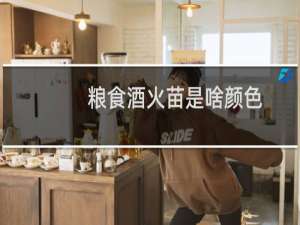 粮食酒火苗是啥颜色