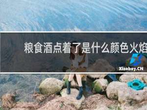 粮食酒点着了是什么颜色火焰