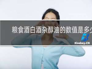 粮食酒白酒杂醇油的数值是多少