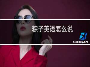 粽子英语怎么说