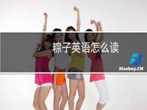 粽子英语怎么读