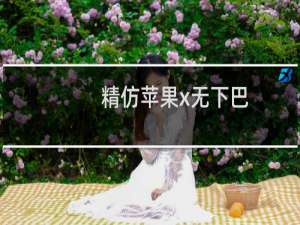 精仿苹果x无下巴（苹果x下巴几毫米）