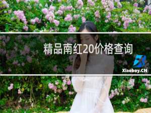 精品南红 价格查询