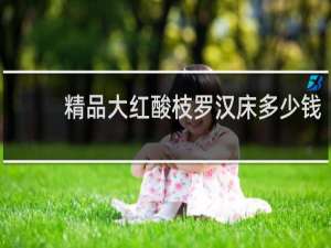 精品大红酸枝罗汉床多少钱