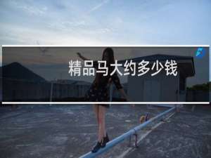 精品马大约多少钱