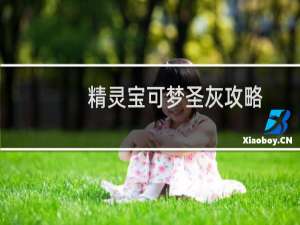 精灵宝可梦圣灰攻略
