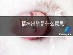 精神出轨是什么意思