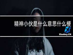 精神小伙是什么意思什么梗