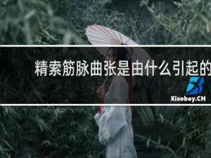 精索筋脉曲张是由什么引起的