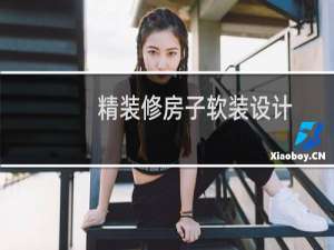 精装修房子软装设计