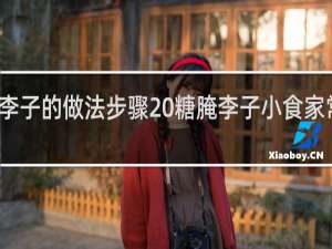 糖腌李子的做法步骤 糖腌李子小食家常做法分享