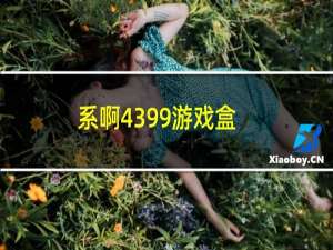 系啊4399游戏盒