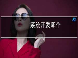 系统开发哪个
