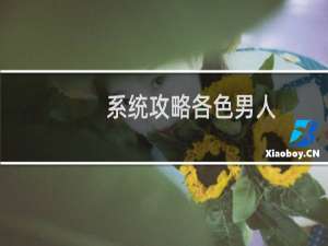 系统攻略各色男人