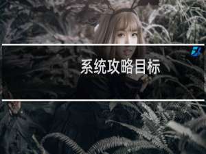 系统攻略目标