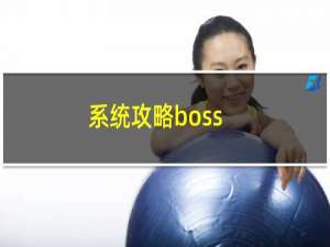 系统攻略boss