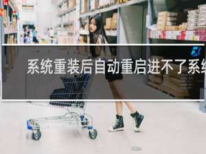 系统重装后自动重启进不了系统