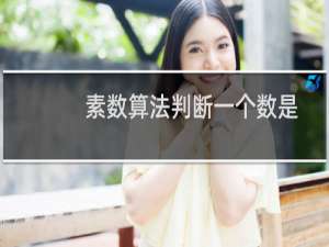 素数算法判断一个数是否是素数C#实现