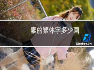 素的繁体字多少画